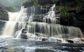 images (1)