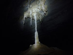 DSCF0400