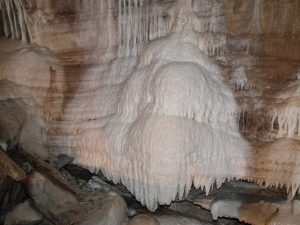 DSCF8949